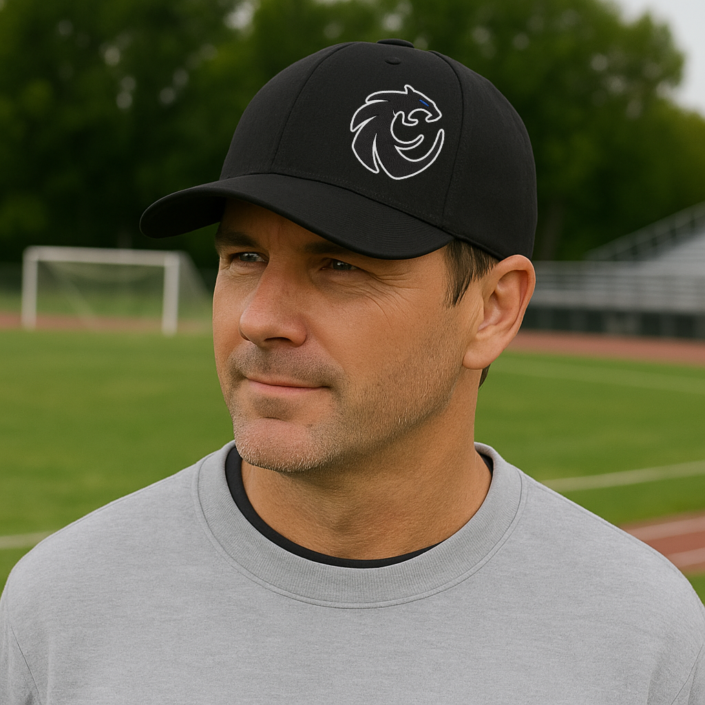 Wildcats Embroidered Snapback Hat