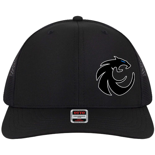 Wildcats Embroidered Snapback Hat